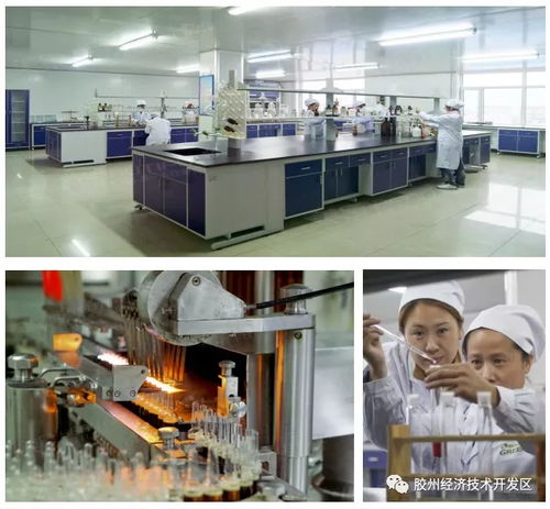 集中簽約，示范區明星企業精彩亮相——精心設計網站助力招商盛會