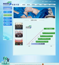 廣州與深圳網站建設成功案例 選擇18年老牌萬戶網絡，打造專業精品網站