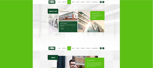 雷士光電官方網站建設項目 構建專業數字門戶，照亮品牌未來